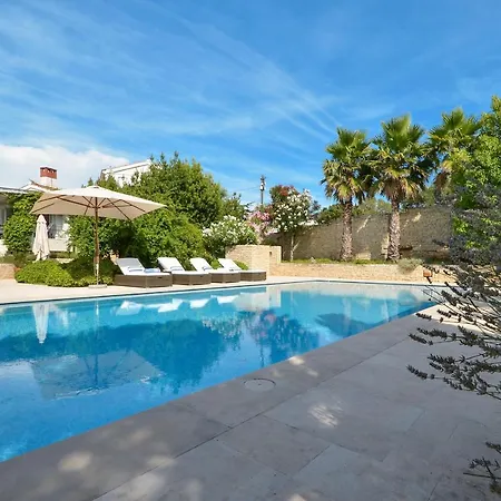 Three Palms *